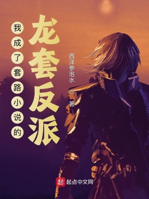 �ҳ�����·С˵�����׷���