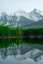 �������ļ�