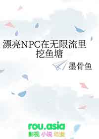 Ư��NPC����������������