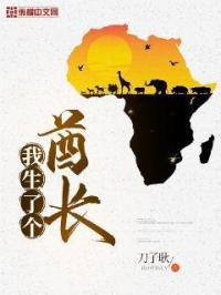 �����˸�����