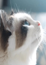 ����֮�������ĺϼ���