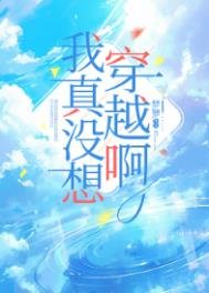 ����û�봩Խ��