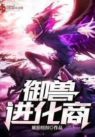 ����ʯ������ʼ��������