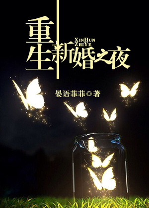 �����»�֮ҹ