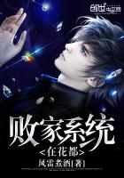 �ܼ�ϵͳ�ڻ���