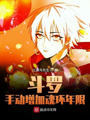 ���ޣ��ֶ����ӻ껷����